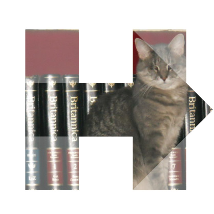 book-cat-H2